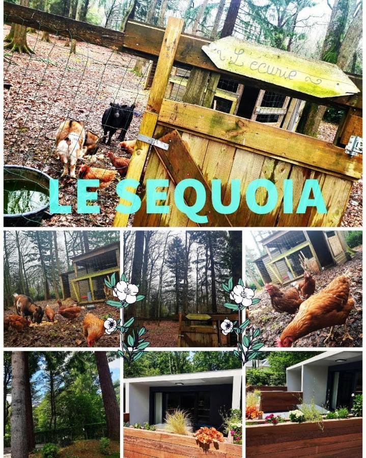 Ferienwohnung Le Sequoia Saint-Sébastien-sur-Loire Exterior foto