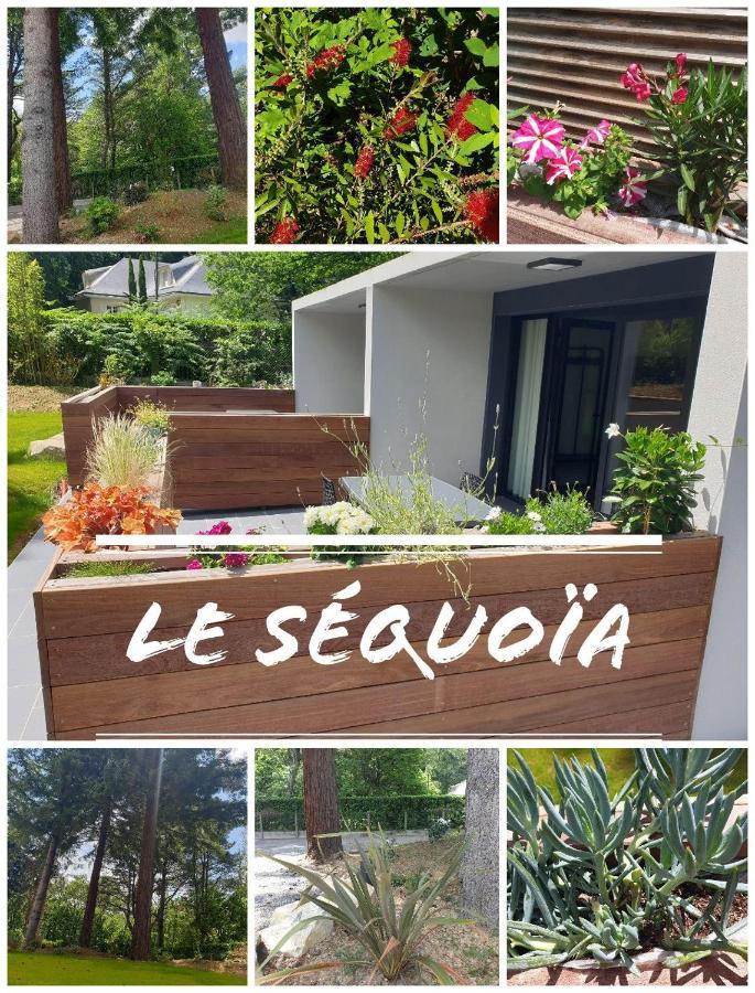 Ferienwohnung Le Sequoia Saint-Sébastien-sur-Loire Exterior foto